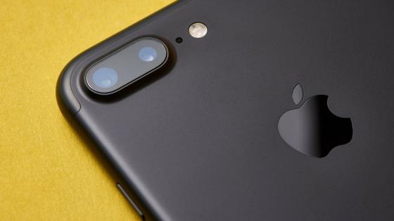 Can the new iPhone X's Facial Recognition Tell Twins Apart?